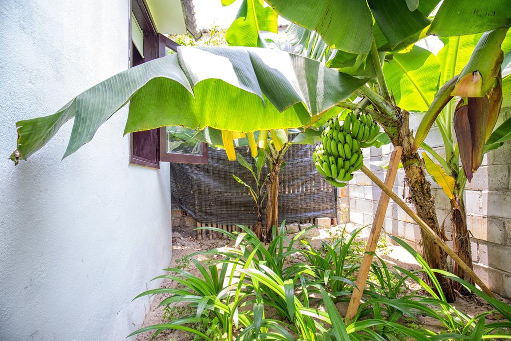 Red Flower Cottages Homestay Хой Ан Екстериор снимка