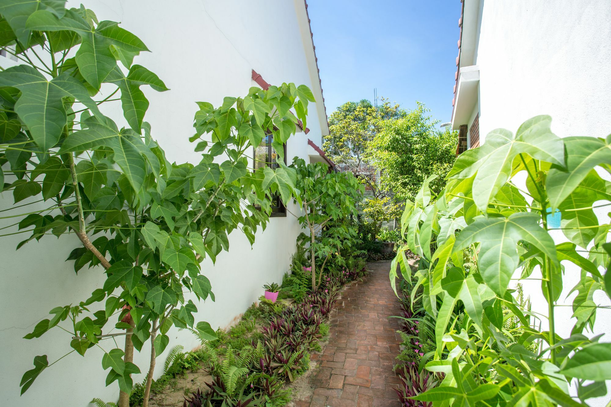 Red Flower Cottages Homestay Хой Ан Екстериор снимка